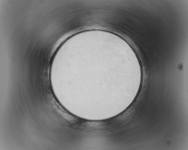 X0000114221246200911201038