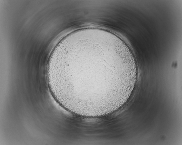 X0000114221247200911201038