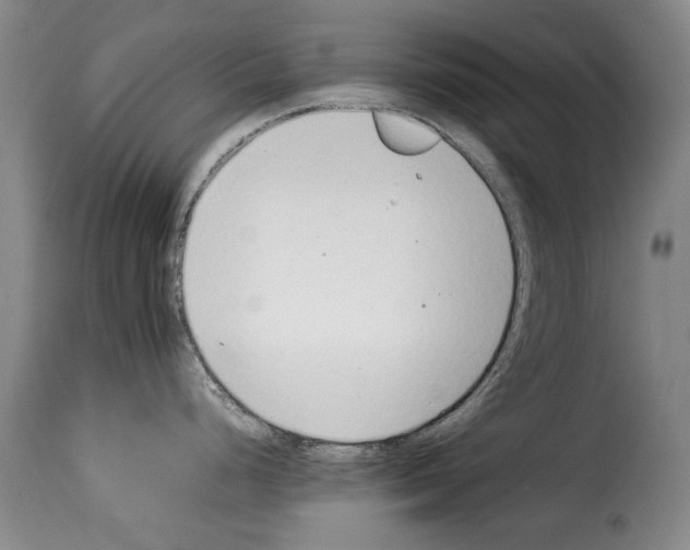 X0000114221248200911201038
