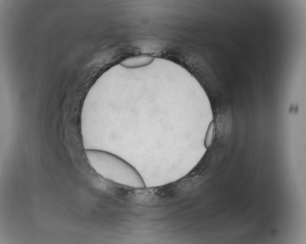 X0000114221249200911201037