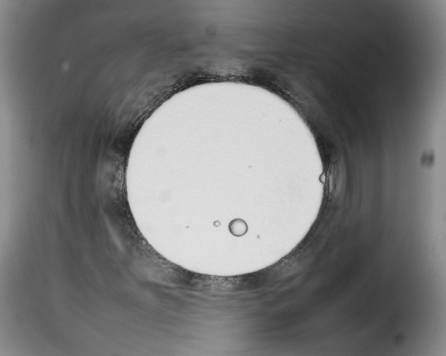 X0000114221251200911201037