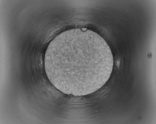 X0000114221252200911201037