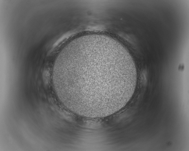 X0000114221254200911201037
