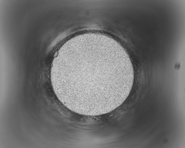 X0000114221255200911201037