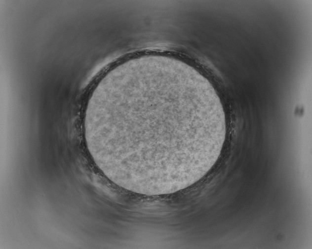 X0000114221256200911201037