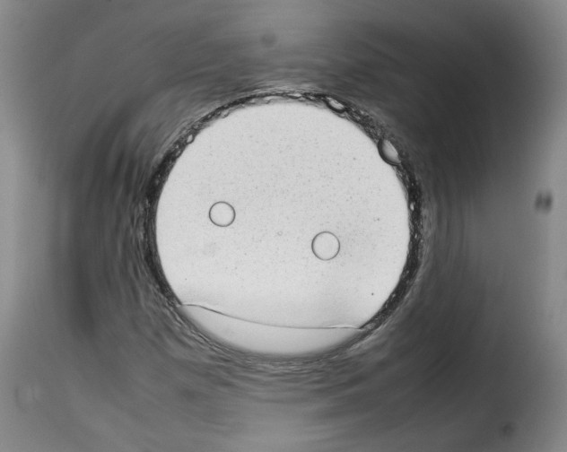 X0000114221257200911201037