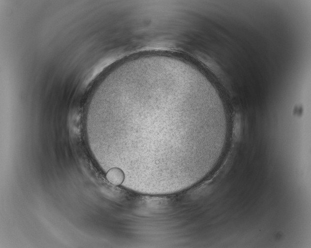 X0000114221258200911201037