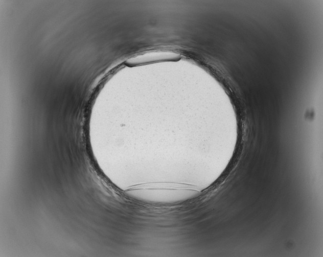 X0000114221260200911201037
