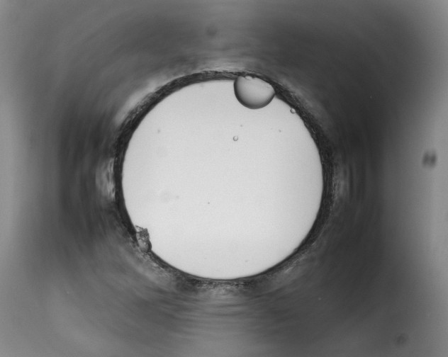 X0000114221262200911201037
