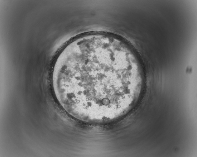 X0000114221263200911201037