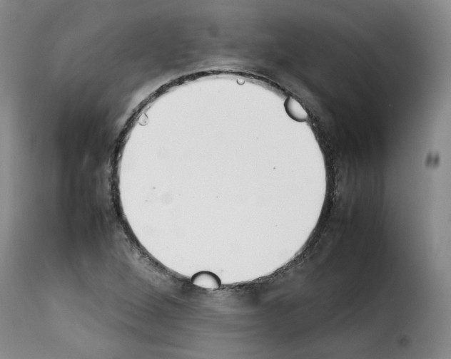 X0000114221264200911201037