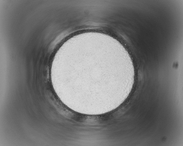 X0000114221267200911201037