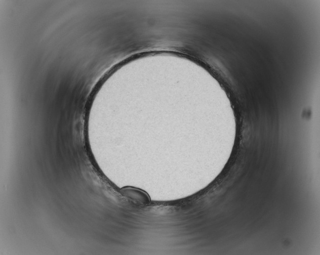 X0000114221268200911201037