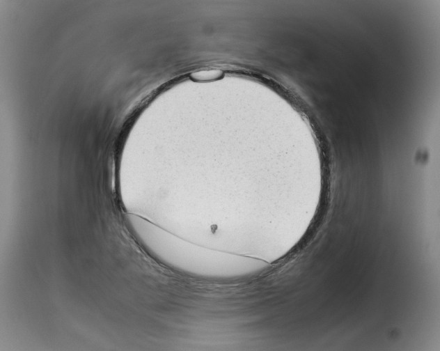 X0000114221269200911201037
