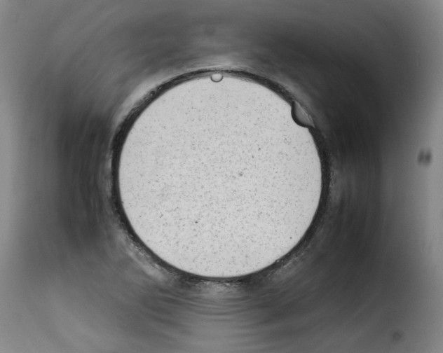 X0000114221270200911201037