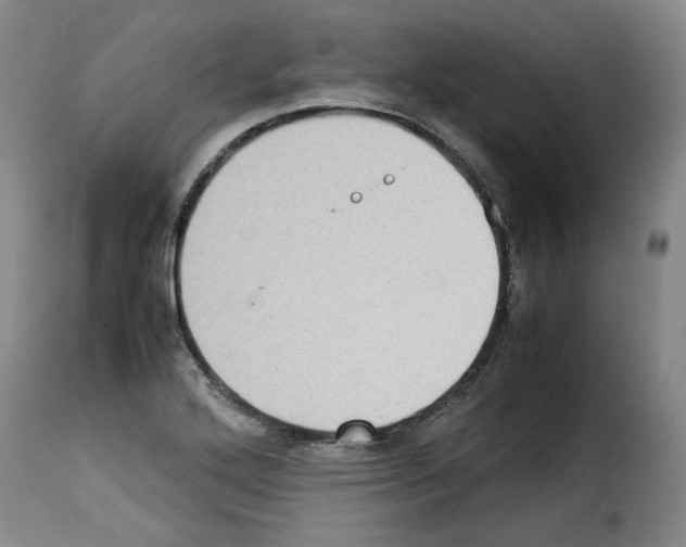 X0000114221272200911201037