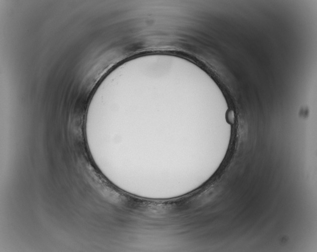 X0000114221273200911201037