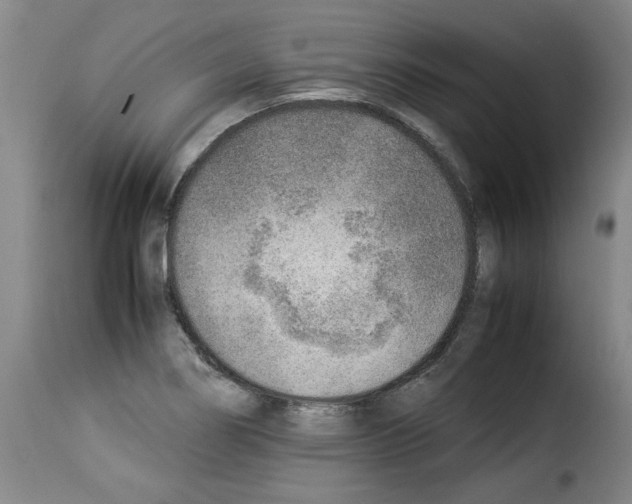 X0000114221274200911201037