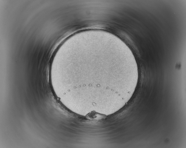 X0000114221276200911201037