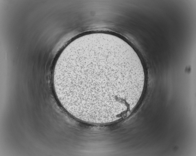 X0000114221277200911201037