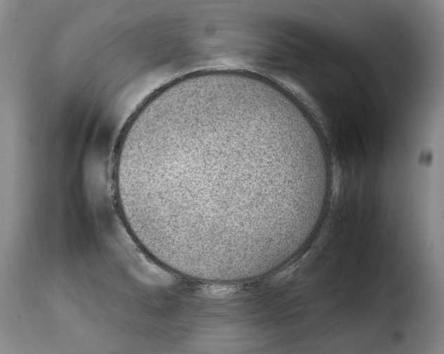 X0000114221278200911201037