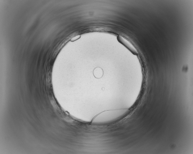 X0000114221281200911201037