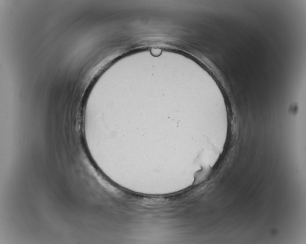 X0000114221285200911201037