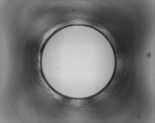 X0000114221286200911201037