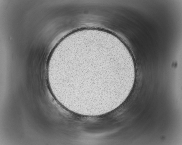 X0000114221287200911201037