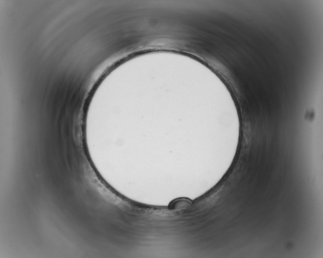 X0000114221288200911201037