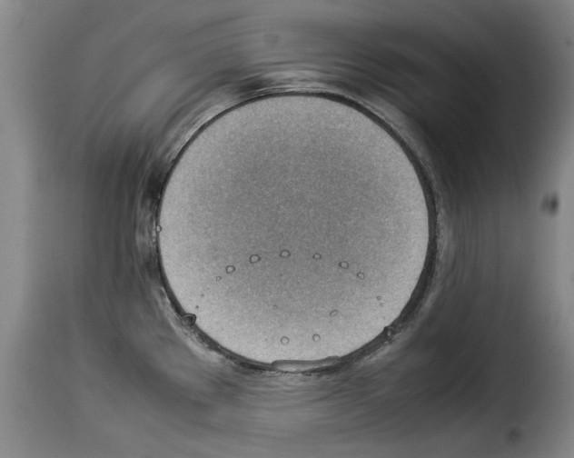 X0000114221289200911201037