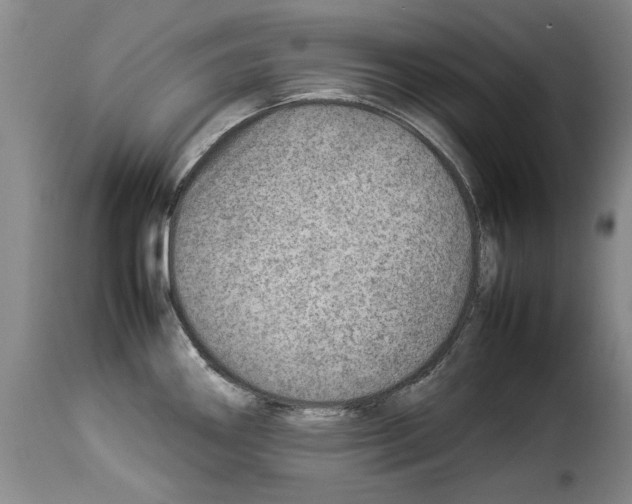 X0000114221290200911201037