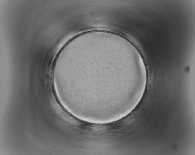X0000114221291200911201037
