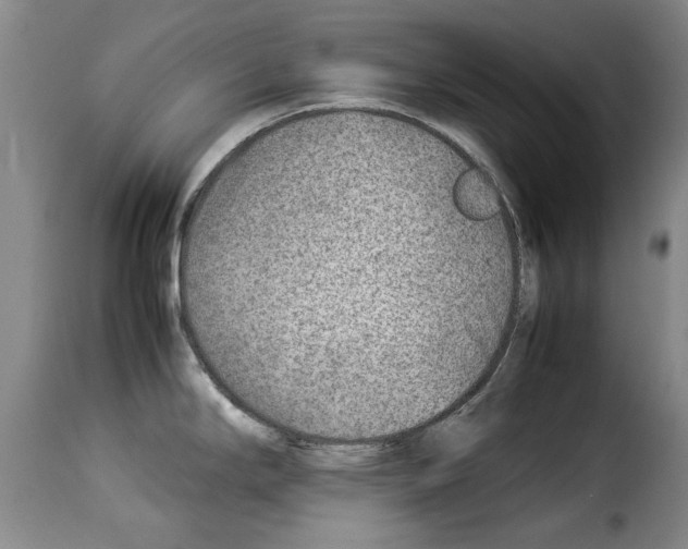 X0000114221294200911201037