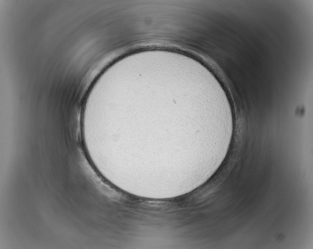 X0000114221295200911201037