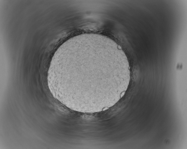 X0000114221297200911201036