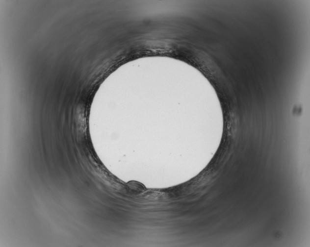 X0000114221298200911201036