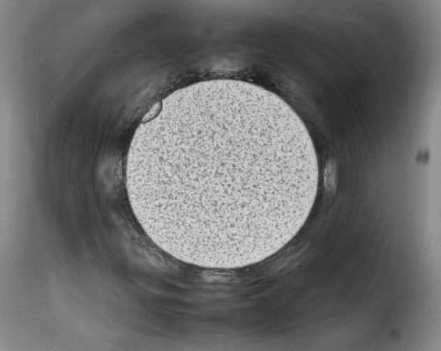X0000114221299200911201036