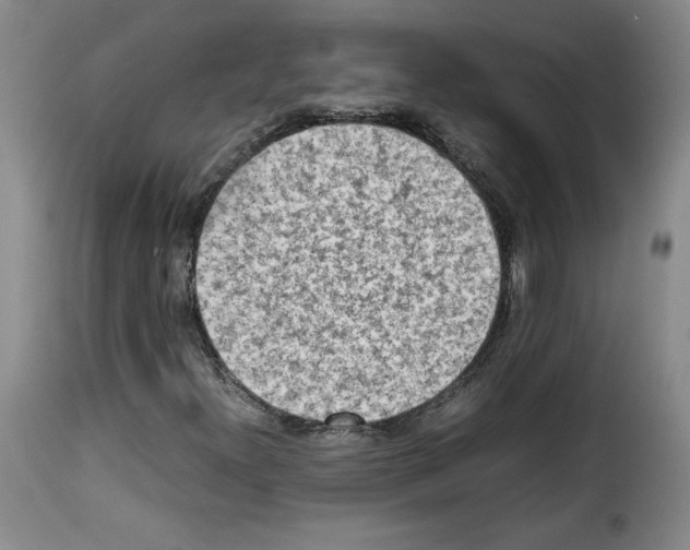 X0000114221300200911201036