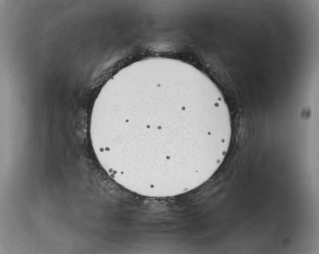 X0000114221301200911201036