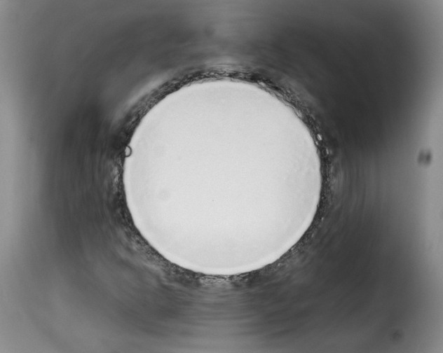 X0000114221302200911201036