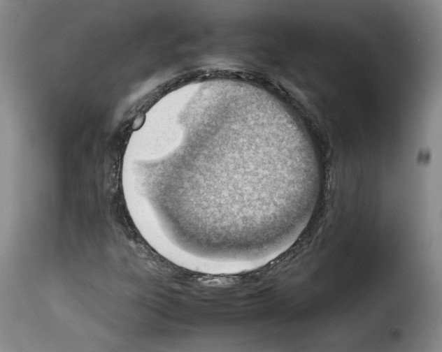 X0000114221303200911201036