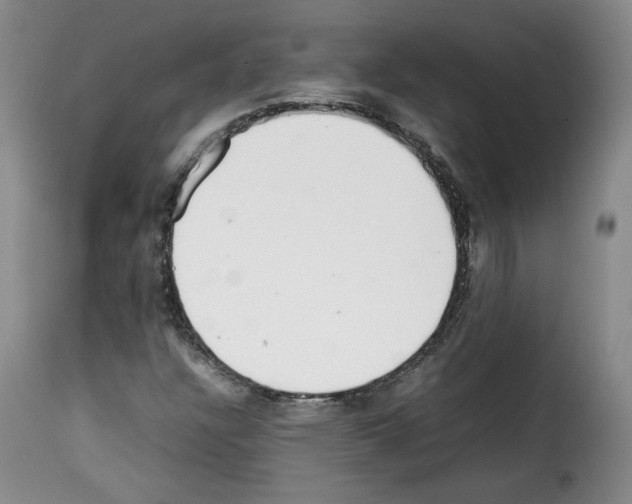 X0000114221304200911201036