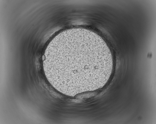 X0000114221305200911201036