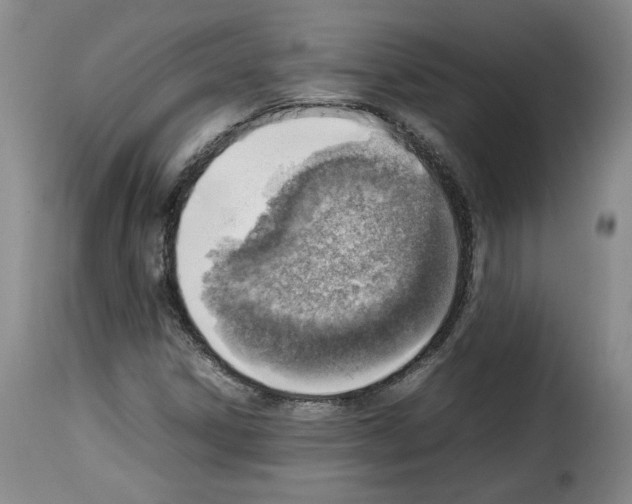 X0000114221306200911201036