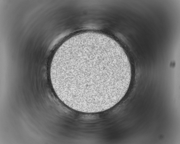 X0000114221307200911201036