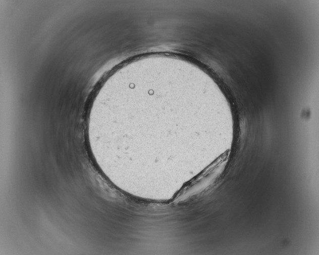 X0000114221308200911201036