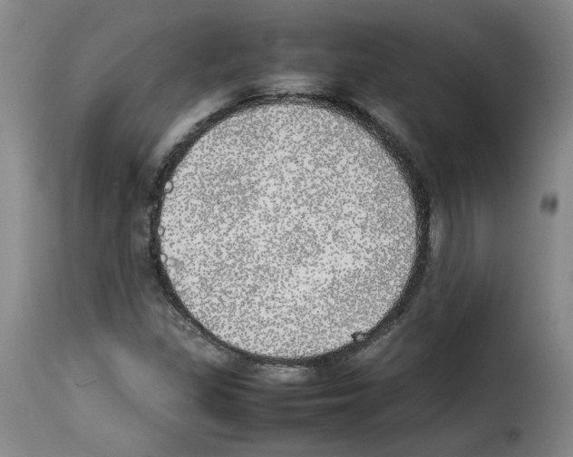 X0000114221309200911201036
