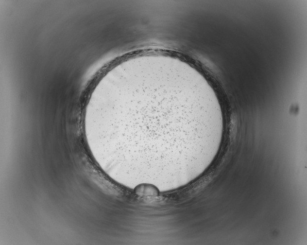 X0000114221310200911201036