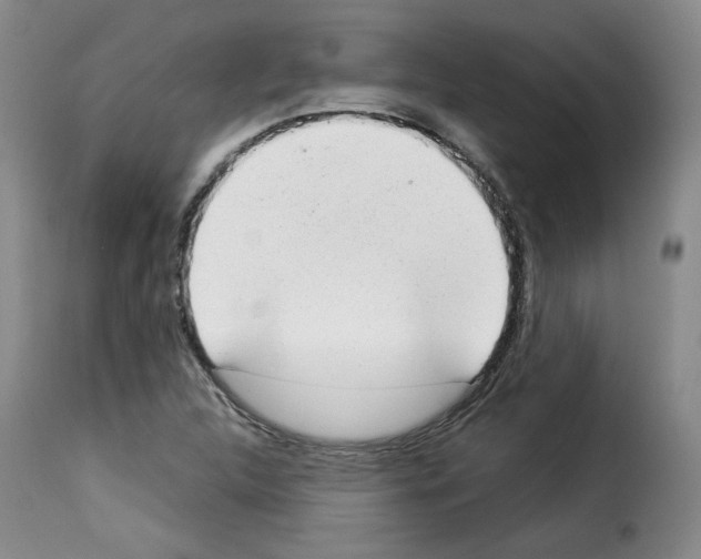 X0000114221312200911201036